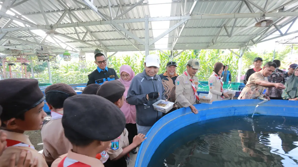 OLAH SAMPAH: Pemkot Madiun menyiapkan empat titik budidaya maggot untuk mengolah sampah organik sekaligus mengurangi beban TPA Winongo. (Bagas Bimantara/Jawa Pos Radar Madiun)