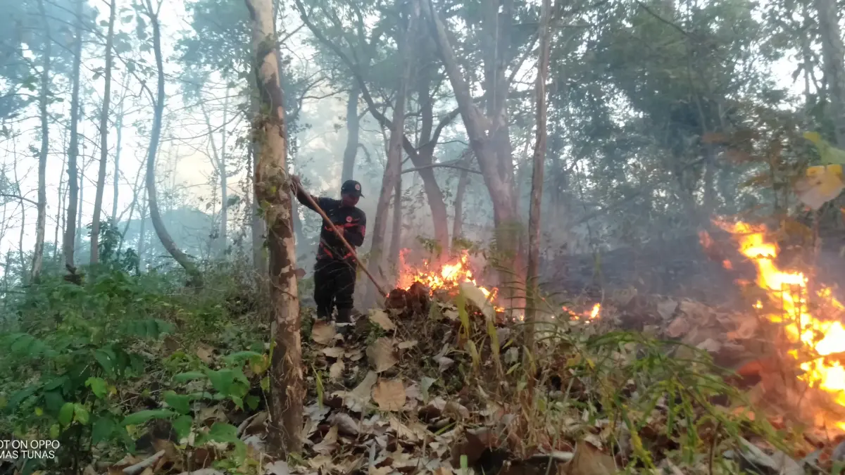PEMADAMAN: Tim gabungan berupaya memadamkan kebakaran yang melanda sekitar lima hektare hutan rakyat di lereng Gunung Bancak, Magetan.