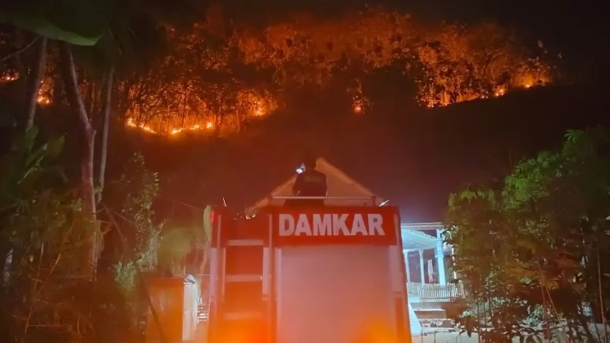BERJIBAKU: Petugas Damkar Pacitan memadamkan karhutla yang menghanguskan sekitar 5.000 meter persegi lahan di Desa Sambong. ISTIMEWA