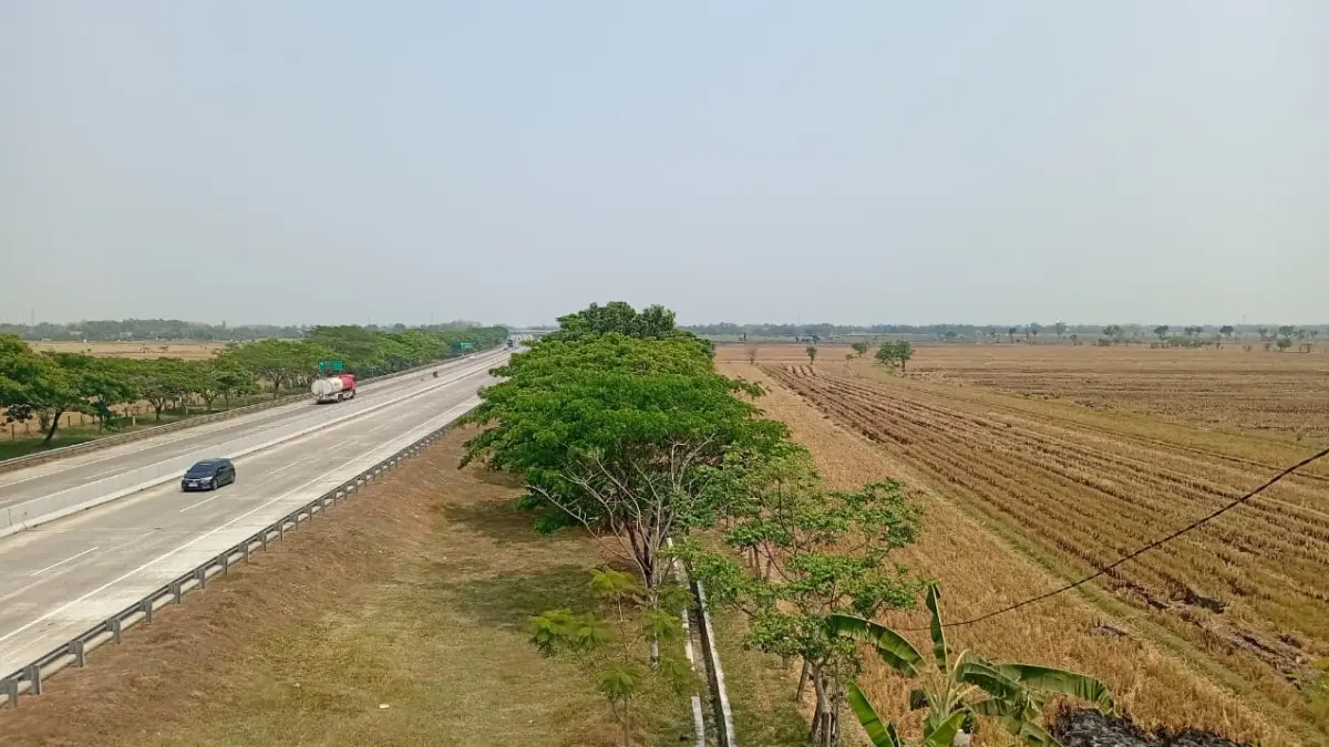 ANTISIPASI: Lahan kering di sekitar ruas tol JNK wilayah Balerejo berpotensi mengalami kebakaran saat musim kemarau. Dian Rahayu/Radar Caruban