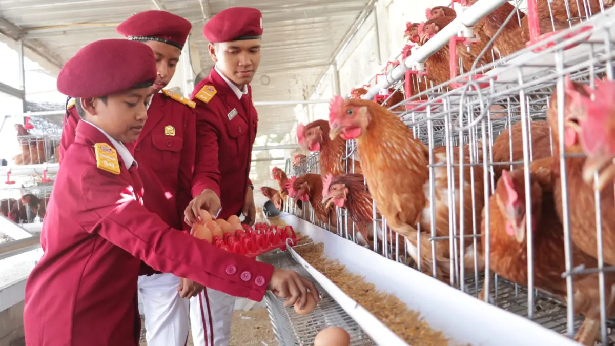 PANEN: Siswa SR Terintegrasi 5 Ponorogo memanen telur ayam sebagai bagian dari pembelajaran kewirausahaan. Sugeng Dwi N./Jawa Pos Radar Ponorogo