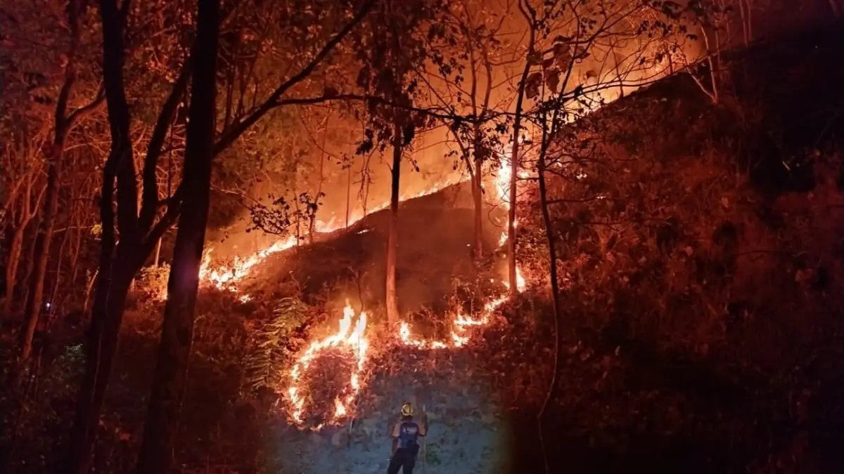 KARHUTLA: Sekitar 4,5 hektare kawasan hutan Perhutani di Gunung Loreng, Slahung, terbakar Sabtu (22/8). Sugeng Dwi N./Jawa Pos Radar Ponorogo