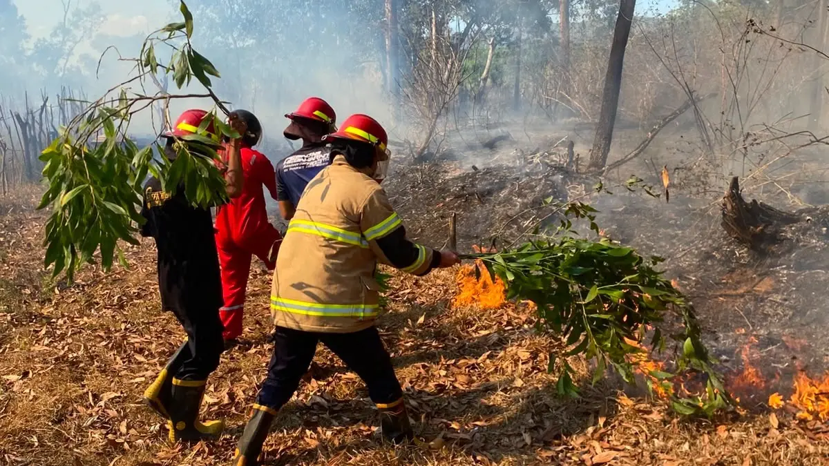 MEMBARA: Petugas berjibaku memadamkan kebakaran hutan dan lahan di Pacitan. Dalam sebulan terakhir tercatat sedikitnya sembilan laporan kebakaran.