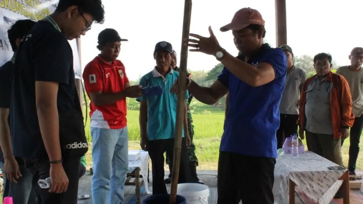 MMD UB Kelompok 46 mengenalkan MOL bonggol pisang dan ikan lele kepada petani Sirigan untuk membantu pemulihan tanah dan menekan biaya pupuk.