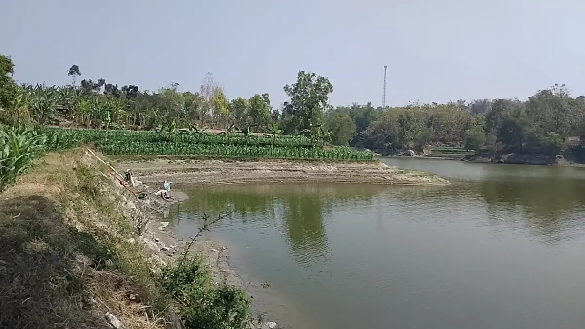 PASANG SURUT: Petani memanfaatkan cerukan Waduk Pondok yang mengering untuk bercocok tanam. Sekitar 50 hektare lahan kini ditanami padi, jagung hingga kacang-kacangan. ASEP SYAEFUL/RADAR NGAWI