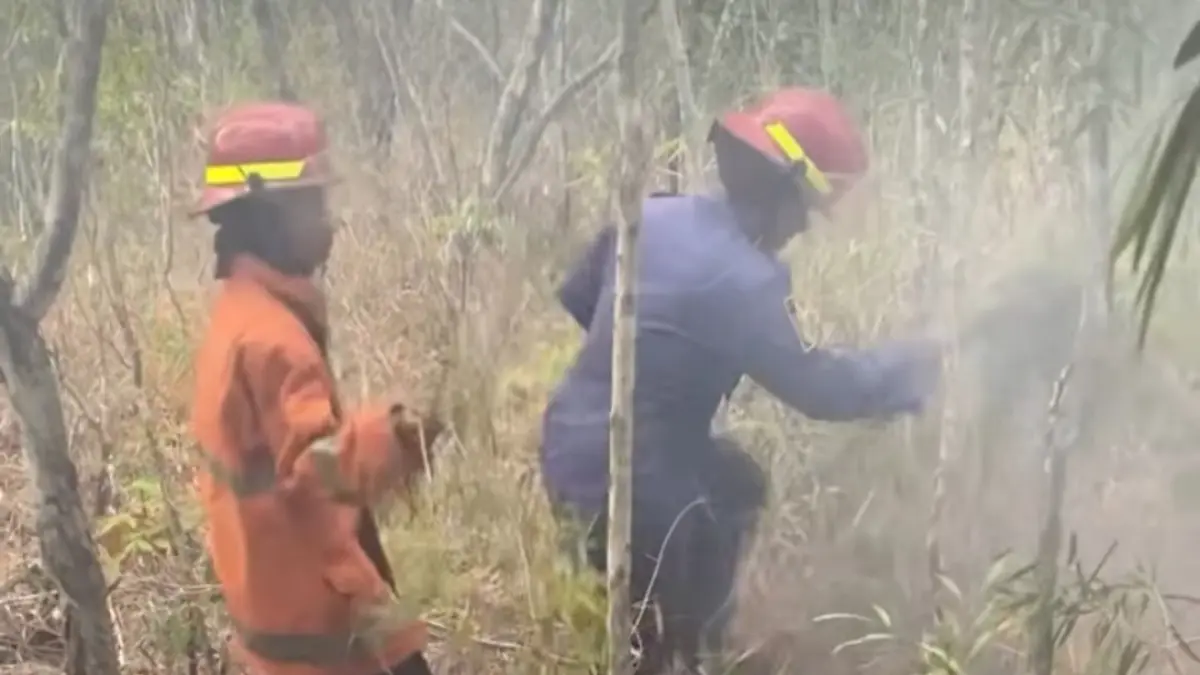 BERJIBAKU: Petugas Damkar Pacitan memadamkan kebakaran hutan Perhutani di Dusun Salam, Desa Ngadirejan, Pringkuku, yang sempat mendekati permukiman warga.