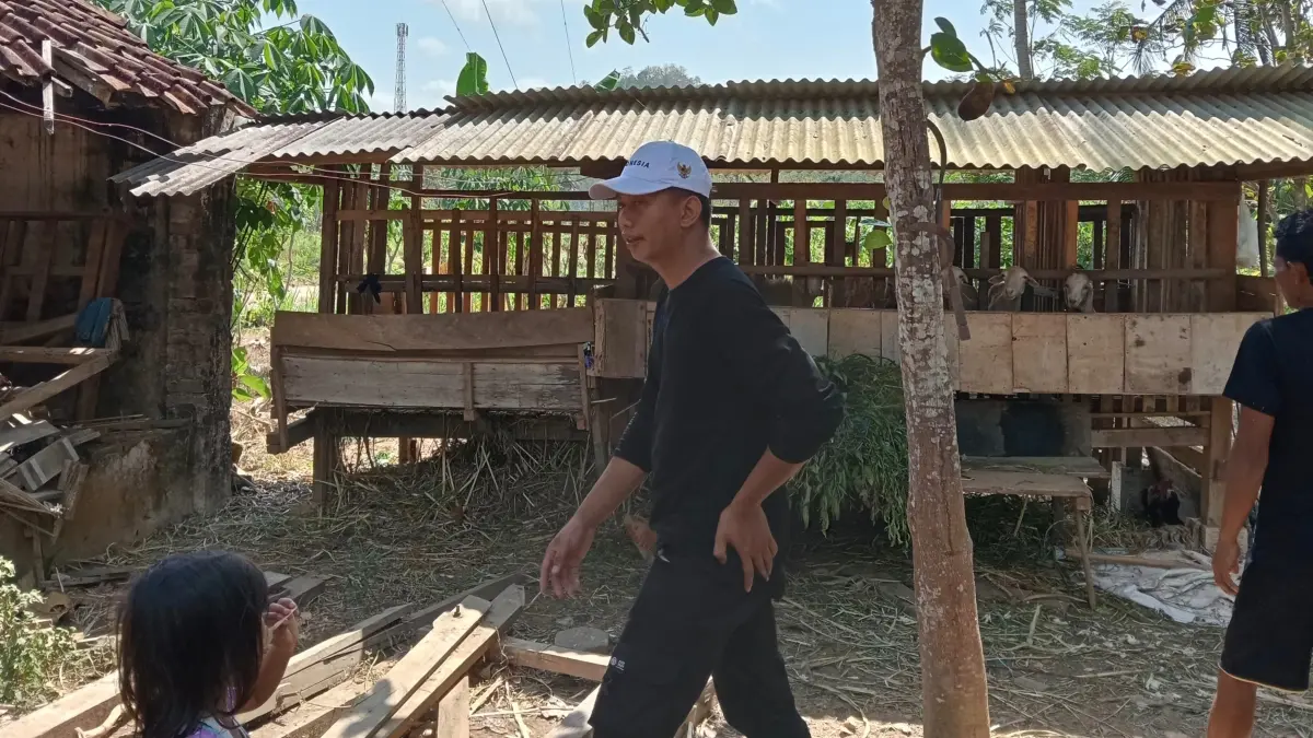 HEWAN TERNAK: Kematian tiga domba milik warga Desa Bogoharjo, Ngadirojo, dengan luka di sejumlah bagian tubuh tengah diselidiki polisi. NUR CAHYONO/RADAR PACITAN