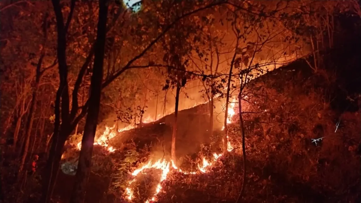 KARHUTLA: Petugas BPBD Ponorogo berjibaku melakukan pemadaman kebakaran hutan dan lahan, Selasa (25/8).