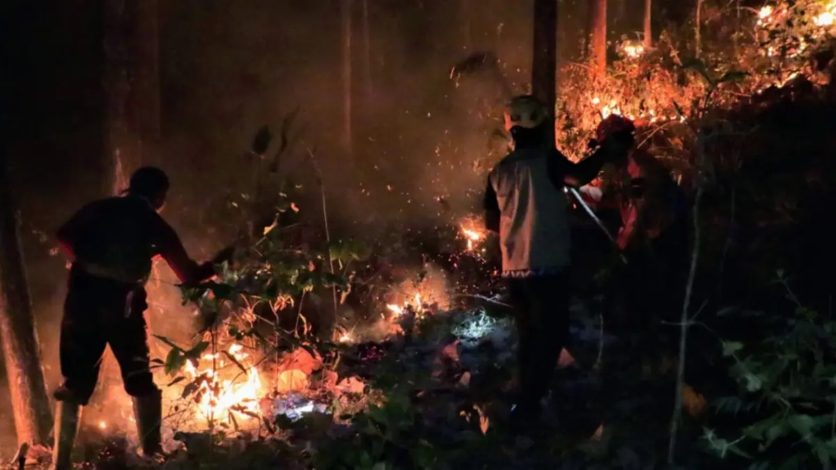 DAMPAK KEMARAU: Petugas gabungan bersama warga memadamkan karhutla di kawasan Perhutani Slahung, Ponorogo, Kamis (27/8) malam. SUGENG DWI N./JAWA POS RADAR PONOROGO