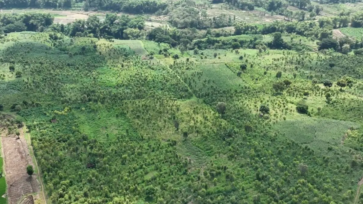 LOKASI: Area yang direncanakan menjadi lokasi TPA baru Mrican di Desa Mrican, Kecamatan Jenangan. Dokumen Jawa Pos Radar Ponorogo