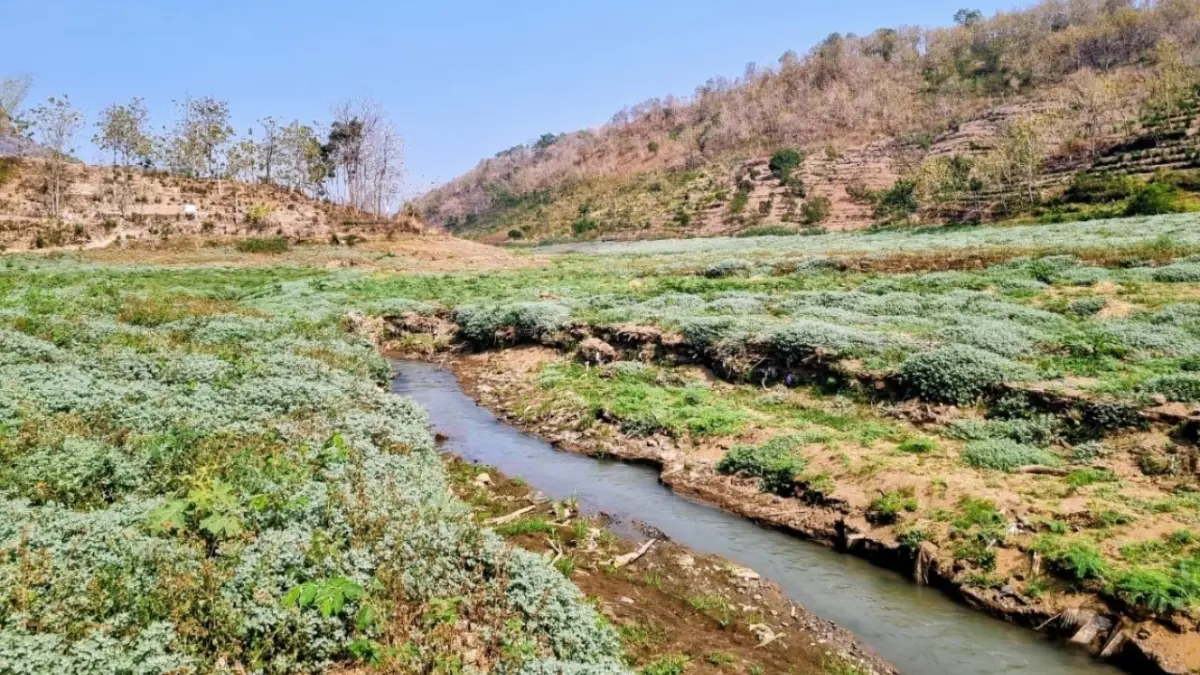 JADI LADANG: Area hulu Waduk Bendo di Desa Ngadirojo, Kecamatan Sooko, yang mengering dimanfaatkan warga untuk menanam jagung dan kacang tanah selama kemarau panjang. Sugeng Dwi N./Jawa Pos Radar Ponorogo