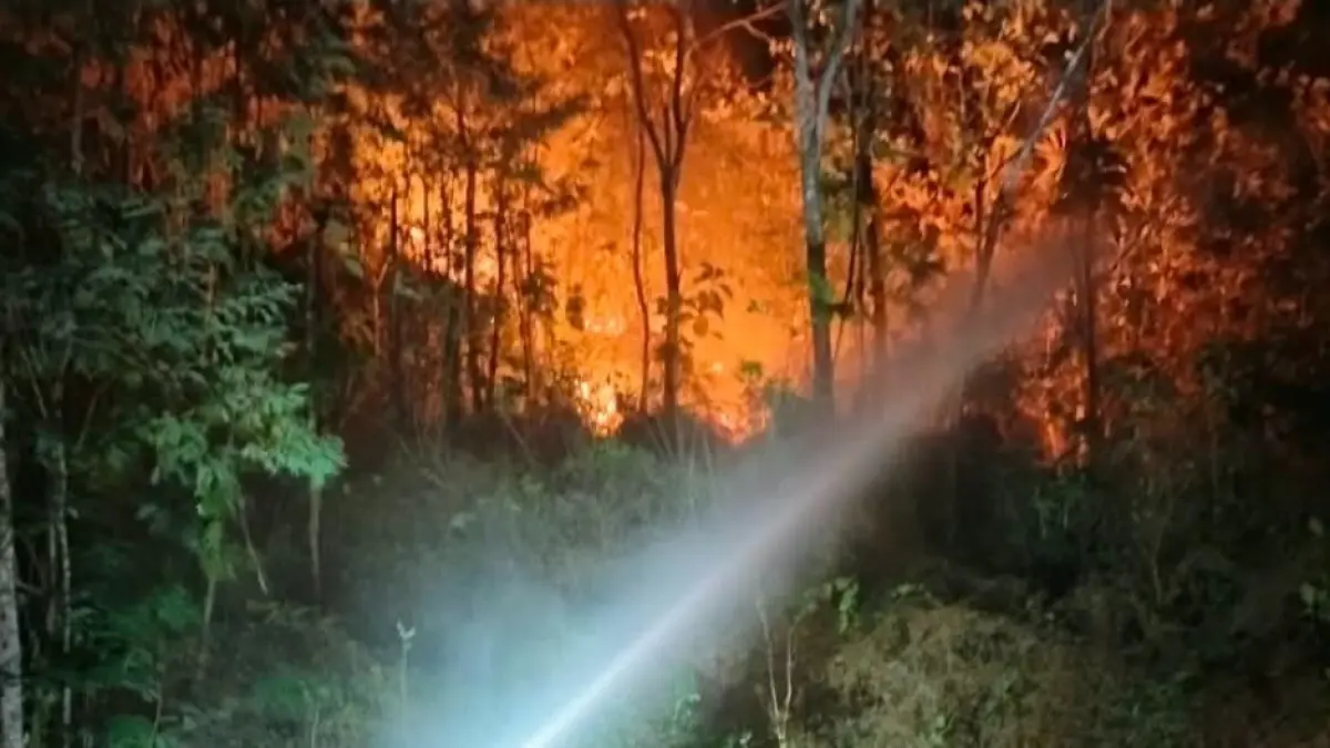 RAWAN KARHUTLA: Salah satu kebakaran hutan dan lahan yang terjadi di Pacitan.