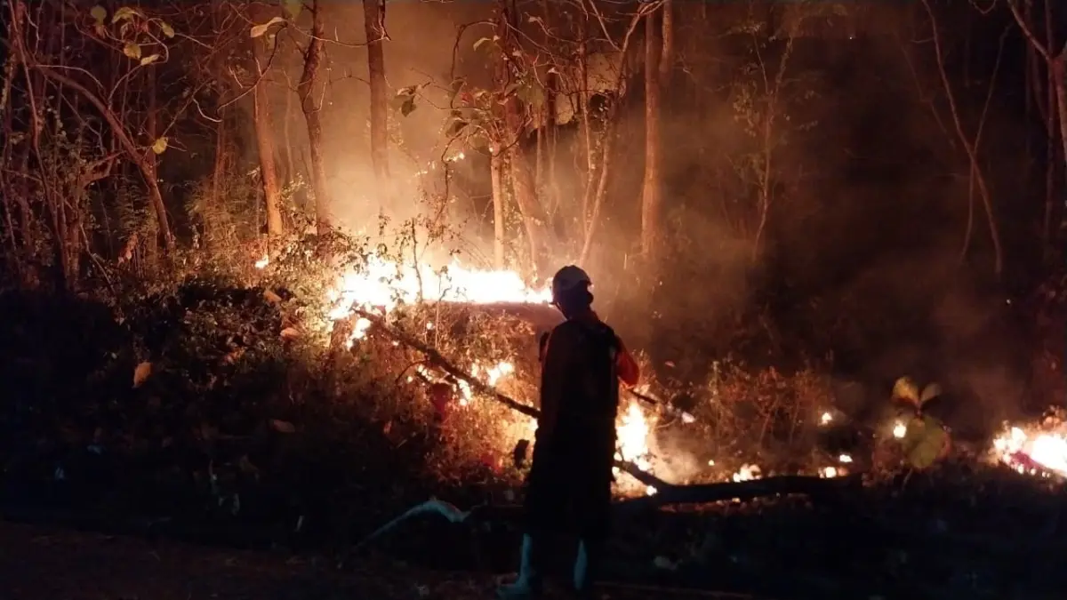 RAWAN MELUAS: Kebakaran hutan dan lahan menjadi ancaman selama musim kemarau di Ponorogo. 