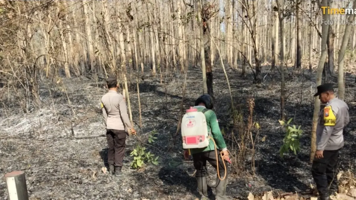 KARHUTLA: Petugas gabungan memadamkan kebakaran hutan dan lahan di Ngawi beberapa waktu lalu. 