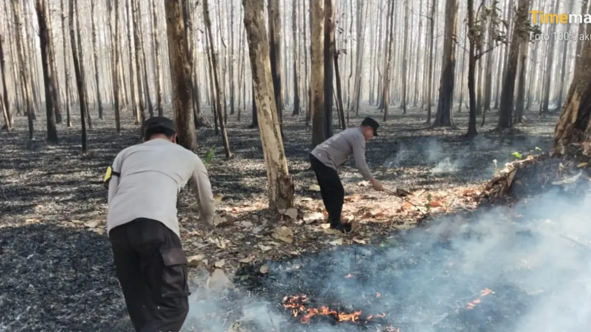 RAWAN TERBAKAR: Sekitar 30 hektare kawasan hutan di wilayah Perhutani KPH Ngawi terdampak karhutla selama musim kemarau. 