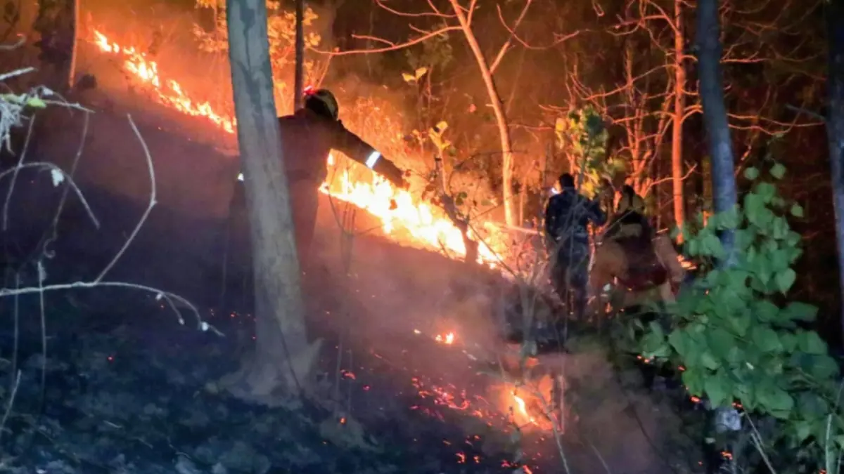 MEDAN TERJAL: Petugas berjibaku memadamkan karhutla Gunung Prongos, Ponorogo, Kamis (10/9) malam. Sugeng Dwi N./Jawa Pos Radar Ponorogo