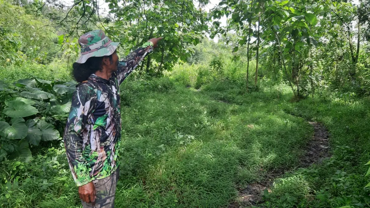 TERTUNDA: Lahan TPU Margomulyo, Ngawi. Asep Syaeful Bachri/Jawa Pos Radar Ngawi