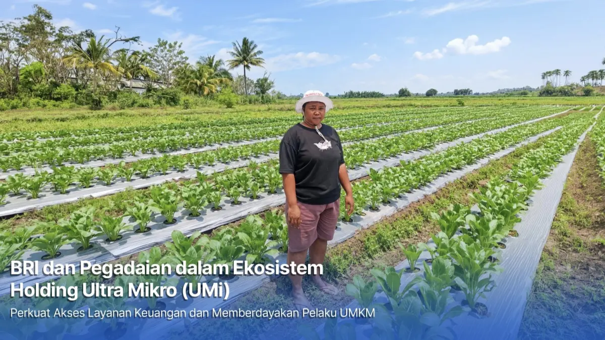 NAIK KELAS: Mur Dwi Astuti mengembangkan usaha pertanian padi di Merauke, Papua.