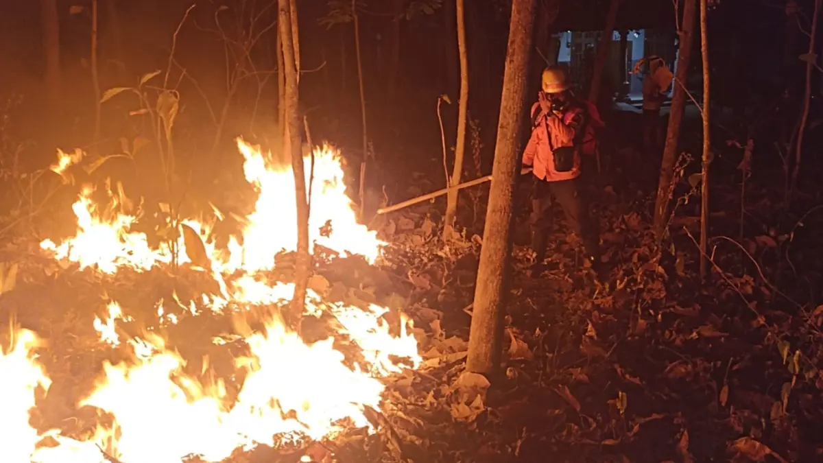 POLUSI UDARA: Petugas melakukan penanganan karhutla Gunung Pringgitan di Desa Kambeng, Kecamatan Slahung. BPBD untuk Jawa Pos Radar Ponorogo