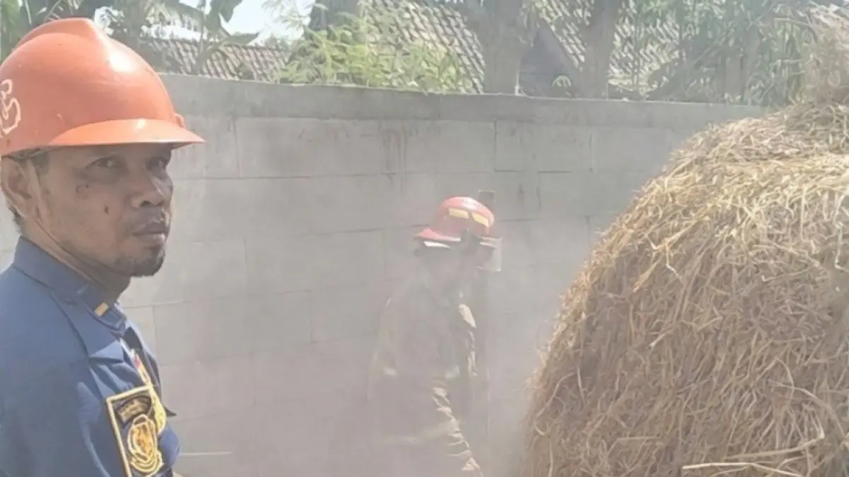 CEGAH API MELUAS: Petugas Damkarmat Satpol PP Ngawi memadamkan kebakaran tumpukan jerami di Desa Waruk Tengah, Kecamatan Pangkur, Senin (21/9). DAMKAR SATPOL PP NGAWI