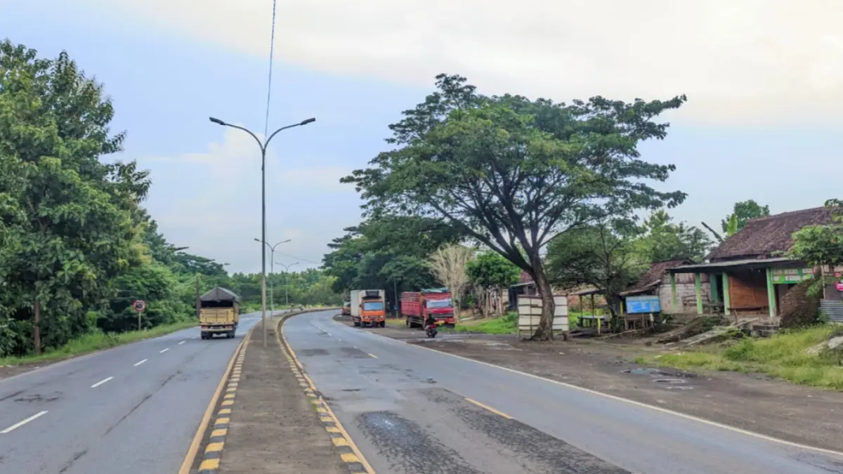 BERLANJUT: Kawasan yang diproyeksikan untuk pembangunan Rest Area Pajaran di Kecamatan Saradan. DOK RADAR MAIDUN