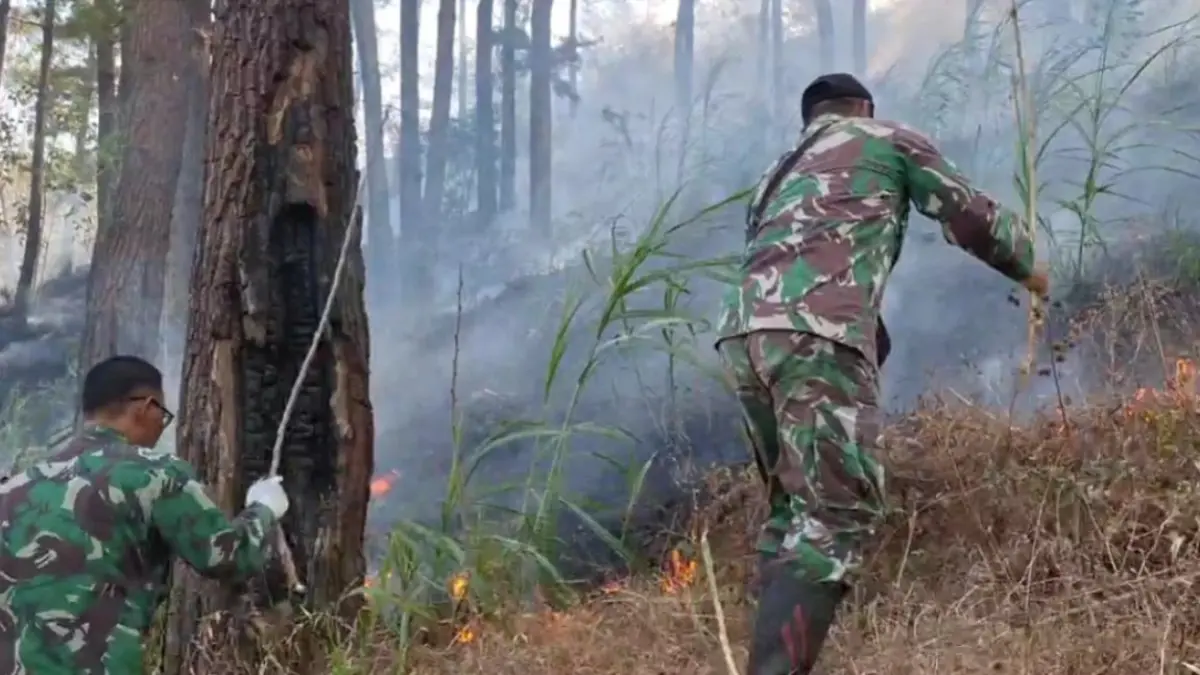 PENANGANAN DINI HARI: Petugas gabungan dan relawan berjibaku memadamkan kobaran api yang membakar vegetasi pinus di Gunung Pawon, kawasan RPH Salam, BKPH Lawu Utara, Desa Kuniran, Kecamatan Sine, Ngawi, guna mencegah api merembet ke permukiman warga.
Foto: Asep Syaeful Bachri/Jawa Pos Radar Ngawi