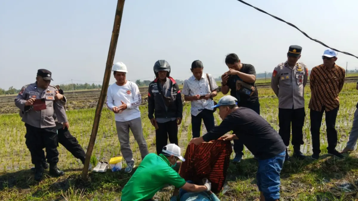 OLAH TKP PETANI KESETRUM: Petugas Kepolisian Sektor Geneng bersama tim medis melakukan olah tempat kejadian perkara (TKP) di lokasi tewasnya seorang petani akibat tersengat listrik kabel sumur sibel di Desa Sidorejo, Kecamatan Geneng, Jumat (2/10).
Foto: Asep Syaeful Bachri/Jawa Pos Radar Ngawi
