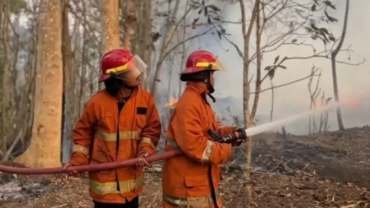 BERJIBAKU PADAMKAN API: Petugas Damkar Pacitan bersama tim Damkar Baturetno, Wonogiri, melakukan proses pemadaman dan pendinginan tumpukan limbah penggergajian kayu yang terbakar di Dusun Kebon, Desa/Kecamatan Donorojo, Kamis (1/10). Foto: Istimewa untuk Jawa Pos Radar Pacitan