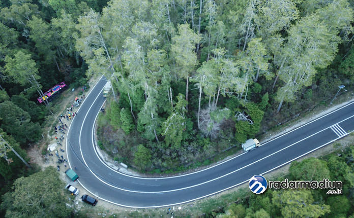 ELOK: Hutan di sekeliling Jalan Raya Cemorosewu-Sarangan tampak asri. (DOK. RADAR MAGETAN)