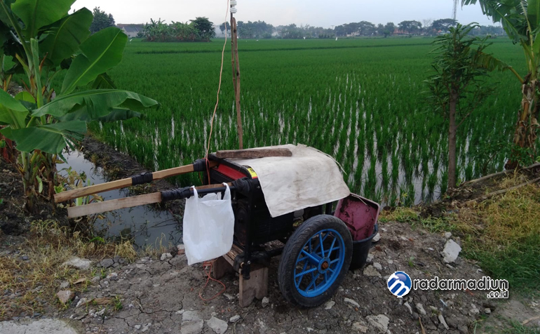 TERLARANG: Menjebak tikus dengan memasang sengatan listrik terbukti mencelakai manusia.