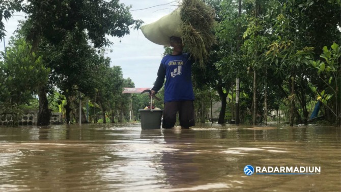 TERGENANG: Sejumlah warga Dusun Jurug tetap beraktivitas seperti biasa meski wilayahnya dilanda banjir kemarin (28/11). (R. BAGUS RAHADI/JAWA POS RADAR CARUBAN)