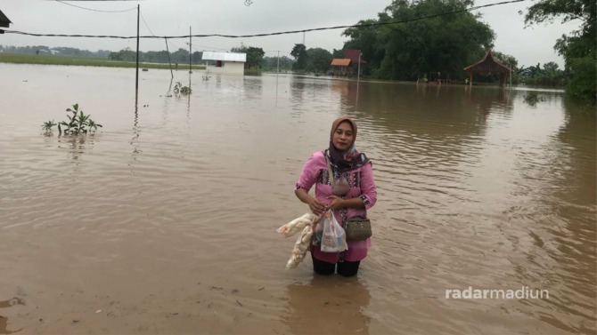 BAK TELAGA: Area sawah di tepi jalan Desa Garon, Balerejo, terendam banjir. Disperta Kabupaten Madiun mengklaim tak ada tanaman padi yang mati. (R. BAGUS RAHADI/JAWA POS RADAR MADIUN)
