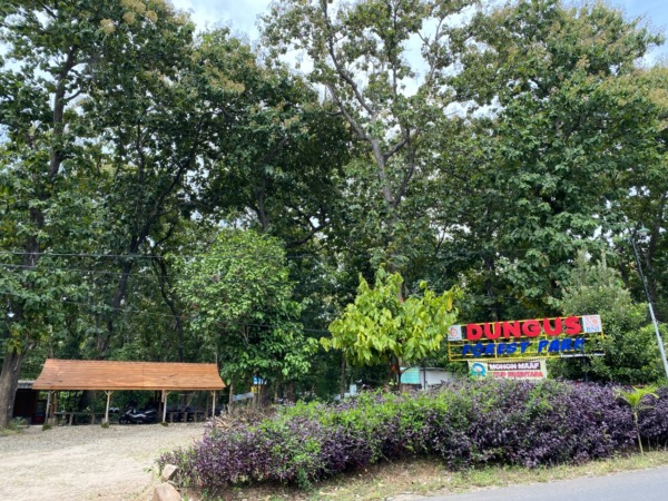 HUTAN JATI: Wanawisata Dungus Forest Park masih ditutup sejak 2019 lalu. Selain alasan pandemi Covid-19, juga masih penyempurnaan fasilitas. (M.R. AKROMU NIAM/JAWA POS RADAR CARUBAN)