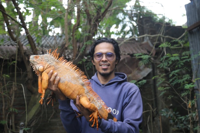 JINAK: Setyadama Putra Pamungkas menunjukkan salah satu iguana miliknya. (BAGAS BIMANTARA/JAWA POS RADAR MADIUN)