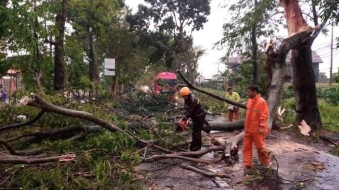 EVAKUASI: Petugas mengevakuasi pohon tumbang di Jalan Raya Magetan-Maospati, masuk Desa Bandar, Sukomoro, kemarin (16/8). (BPBD FOR JAWA POS RADAR MAGETAN)