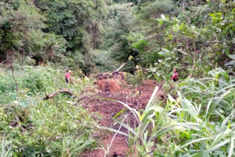 EVAKUASI: Proses pencarian Dedek Supriadi dilakukan oleh petugas dari Basarnas dan Unit Gakkum Satlantas Polresta Padang setelah truk yang dikemudikannya masuk ke dalam jurang, Minggu (28/8) di Jalan Raya Sitinjau Laut Kelok Banto. (ANTARA)