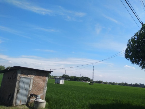 PERTANIAN: Sebagian petani di Kota Madiun menggunakan pompa air listrik untuk mengairi sawahnya. (RAHMA DWI LESTARI/JAWA POS RADAR MADIUN)