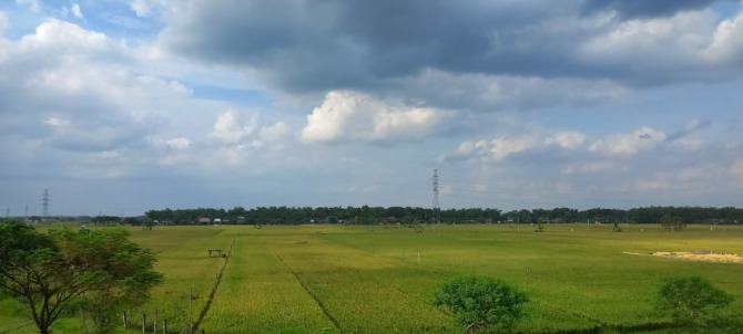 PENETAPAN TRASE: Pemerintah pusat telah mengubah status lahan sawah dilindungi yang bakal dilalui tol Ngaroban. (ASEP SYAEFUL BACHRI/JAWA POS RADAR NGAWI)