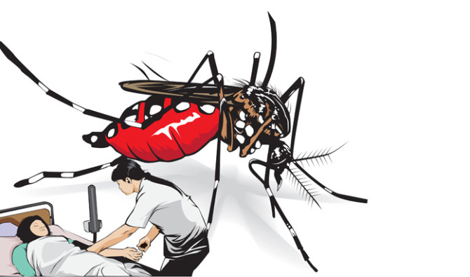 Ilustrasi demam berdarah dengue atau DBD