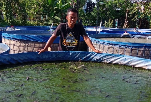 TELATEN: Didik Sasmito sedang beraktivitas di kolam lele di halaman rumahnya. (DIDIK SASMITO FOR JAWA POS RADAR MADIUN)