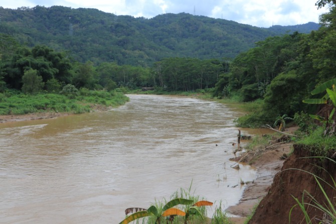DAERAH TANGKAPAN: Aliran Sungai Grindulu di Pacitan konturnya berkelok dan deras sehingga berpotensi menggerus tanggul kali. (SUGENG DWI N./JAWA POS RADAR PACITAN)