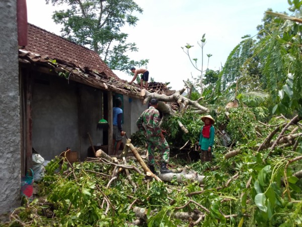 EVAKUASI: Salah satu rumah warga di Ngawi rusak tertimpa pohon yang tumbang akibat diempas angin kencang kemarin. (ISTIMEWA)