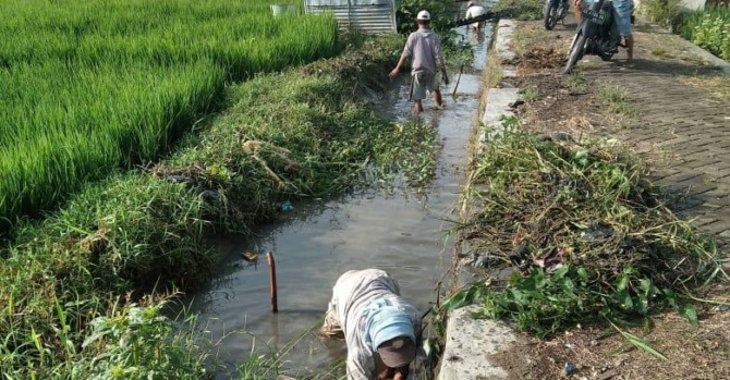 ANTISIPASI: Petani di Rejomulyo, Kartoharjo, kerja bakti membersihkan saluran irigasi sawah mereka kemarin (17/10). (ISTIMEWA)