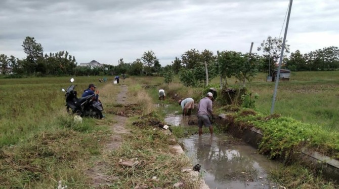 PATUT WASPADA: Sebagian lahan pertanian di wilayah Kecamatan Kartoharjo, Kota Madiun, tergenang kemarin (27/10). (ISTIMEWA)