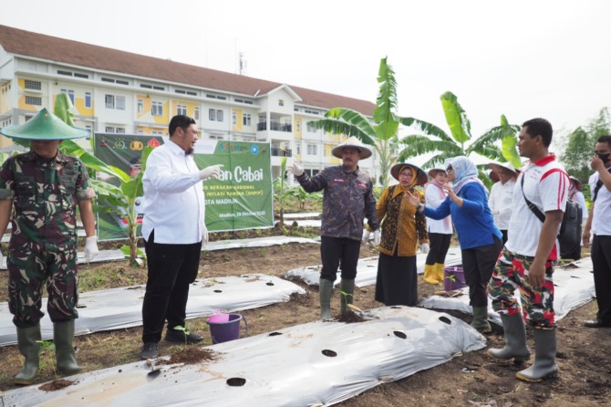 ANTISIPASI INFLASI: Wali Kota Madiun Maidi memanfaatkan lahan tidur di selatan rusunawa II, Nambangan Lor, Manguharjo untuk budi daya cabai rawit. (BAGAS BIMANTARA/JAWA POS RADAR MADIUN)