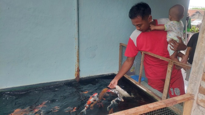 HOBI: Wahyu Ramadhana sedang memberi makan ikan koi piaraannya. (DIAN RAHAYU/JAWA POS RADAR MADIUN)
