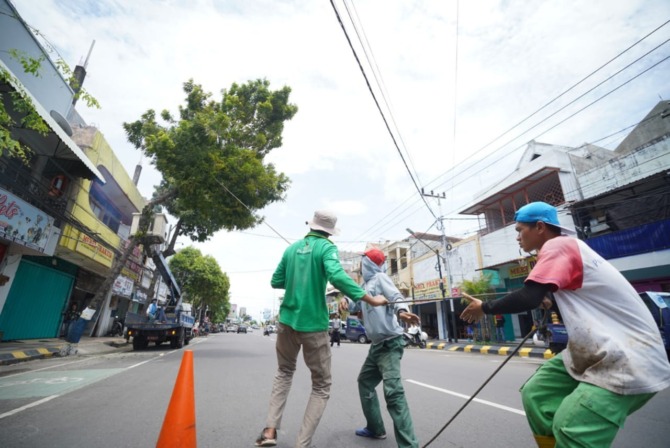 RAWAN TUMBANG: Petugas Disperkim Kota Madiun memangkas pohon di wilayah perkotaan yang ketinggiannya melebihi tujuh meter beberapa waktu lalu. (BAGAS BIMANTARA/JAWA POS RADAR MADIUN)