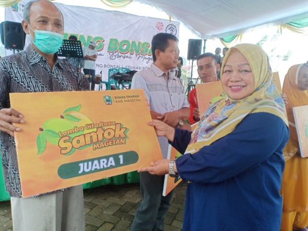 APRESIASI: Kepala DTPHPKP Magetan Uswatul Chasanah menyerahkan secara simbolis pemenang lomba cita rasa mangga santok, Selasa (22/11). Insert, Uswatul meninjau tanaman bonsai peserta lomba. (APRILITA SARI/JAWA POS RADAR MAGETAN)