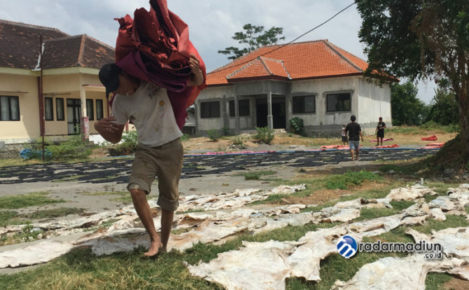 KOMODITAS UNGGULAN: Seorang warga mengangkat kulit yang dijemur.