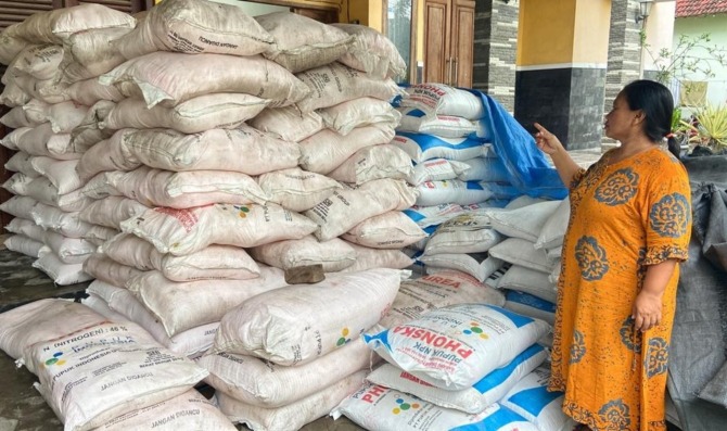 TOP-DOWN: Pupuk subsidi bagi petani Kota Madiun mulai dialokasikan Januari mendatang. (RAHMA DWI LESTARI/JAWA POS RADAR MADIUN)